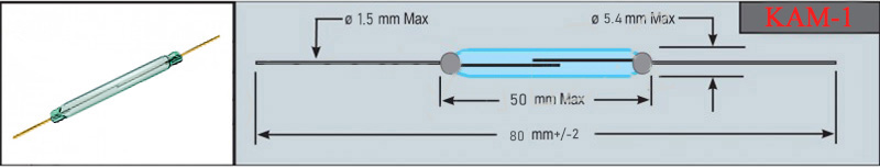 KAM-1(图1)